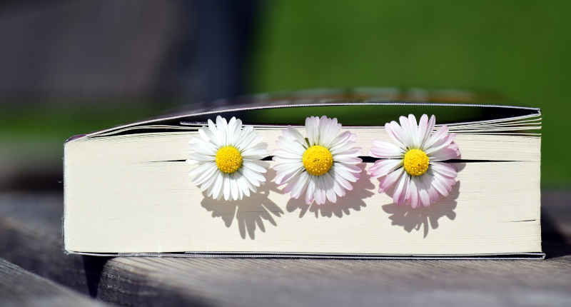 Buch mit Blumen als Lesezeichen